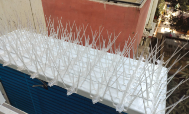 bird spikes in bengaluru