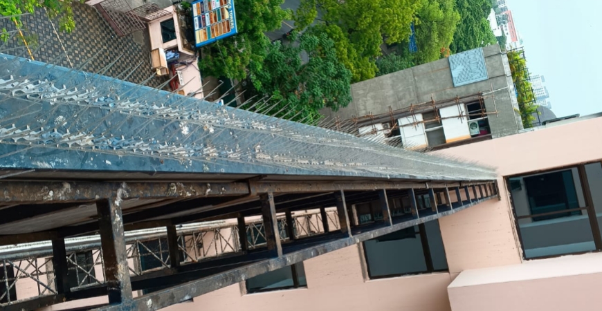 BIRDS SPIKES IN BENGALURU
