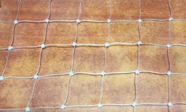 Transparent Nets