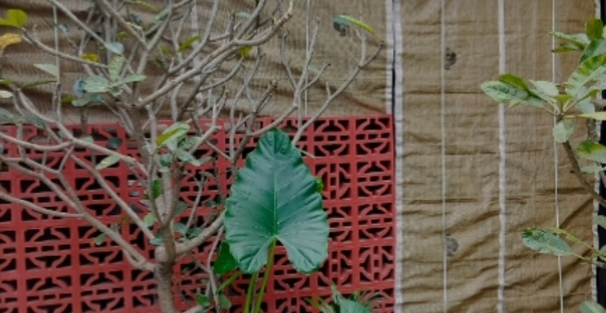 Balcony Safety Nets 
