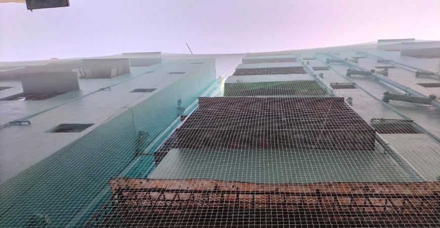 Coconut Tree Net in chennai 
