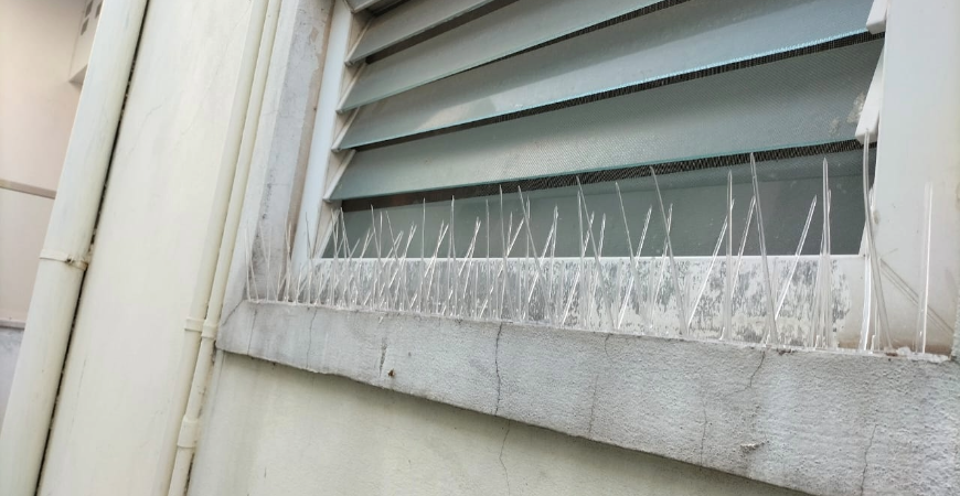 BIRD SPIKES IN BENGALURU
